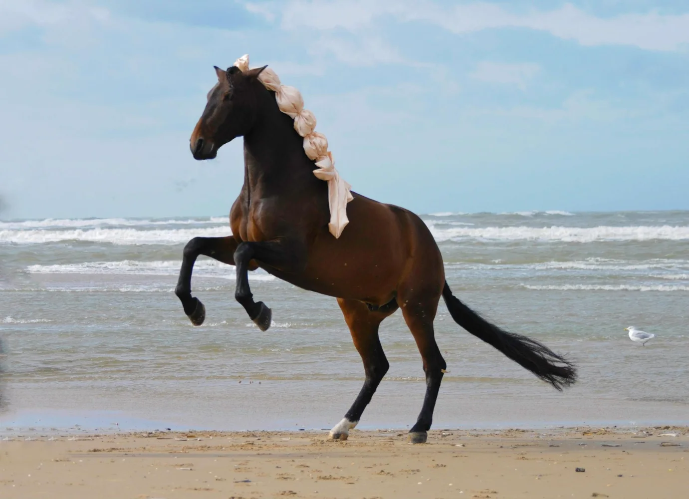 Großes braunes Pferd im Sand am Meer
