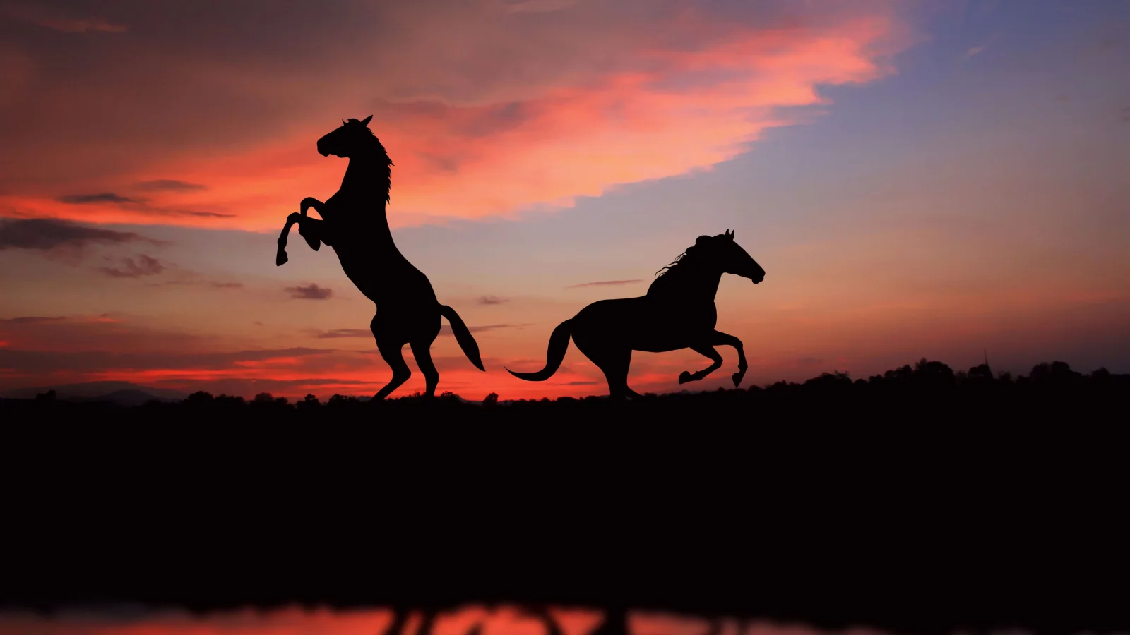 Schwarzen vor dem Himmel bei Sonnenuntergang