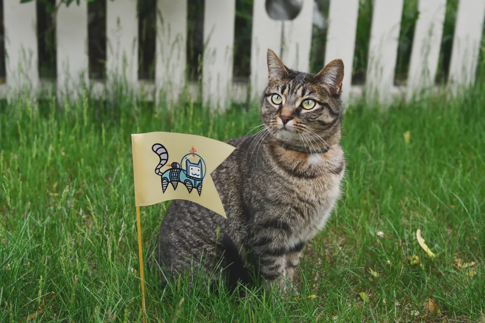 Graue Katze mit sitzt in grünen Gras