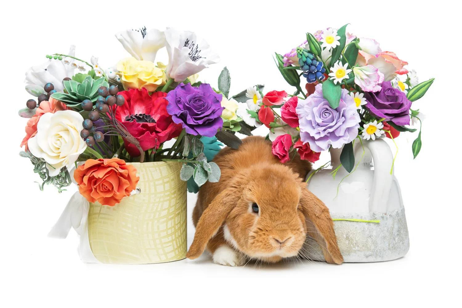 Dekorativer rothaariger Kaninchen mit Blumen vor weißem Hintergrund