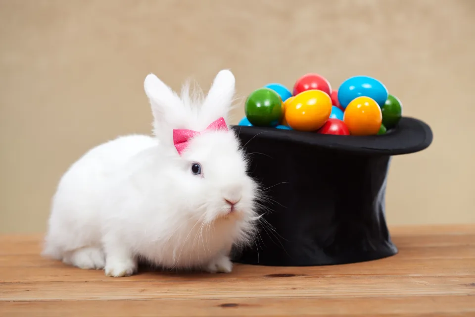 Weißer Kaninchen mit schwarzem mit bunt bemalten Eiern