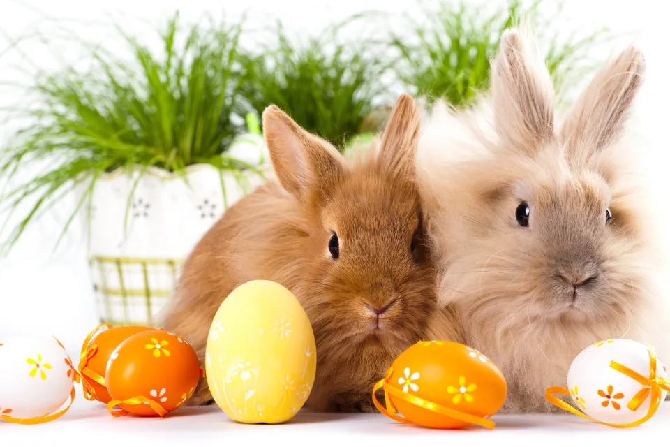Zwei dekorativen Kaninchen mit bunt bemalten Eiern