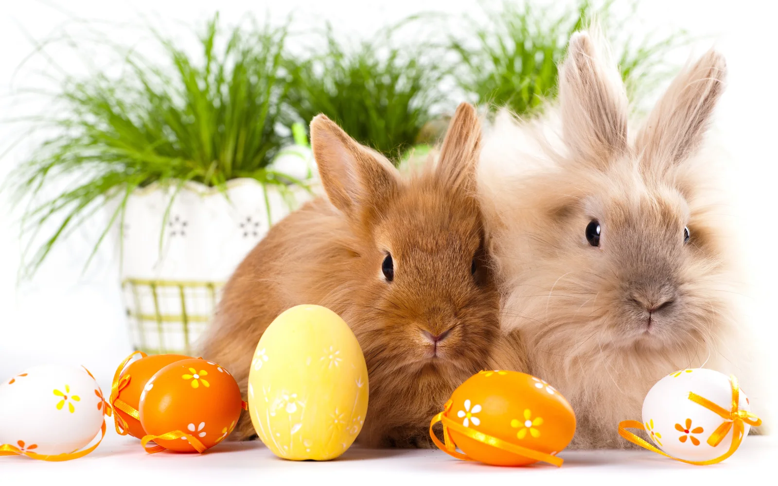 Zwei dekorativen Kaninchen mit bunt bemalten Eiern