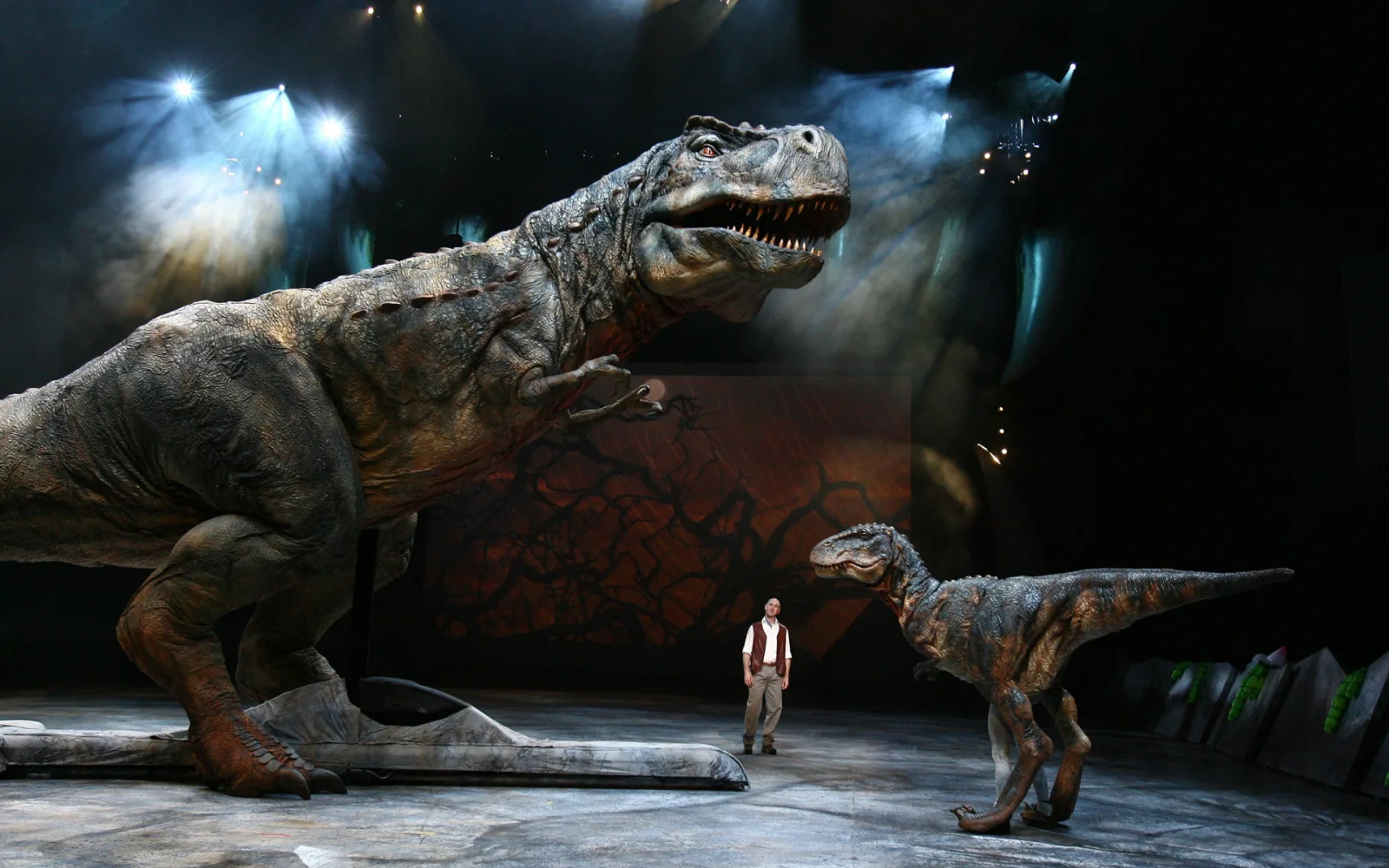 Dinosaurier im Museum