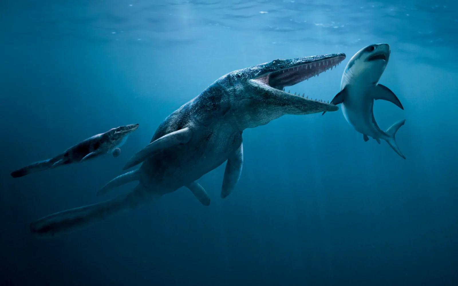 Dinosaurier im Unterwasserkampf