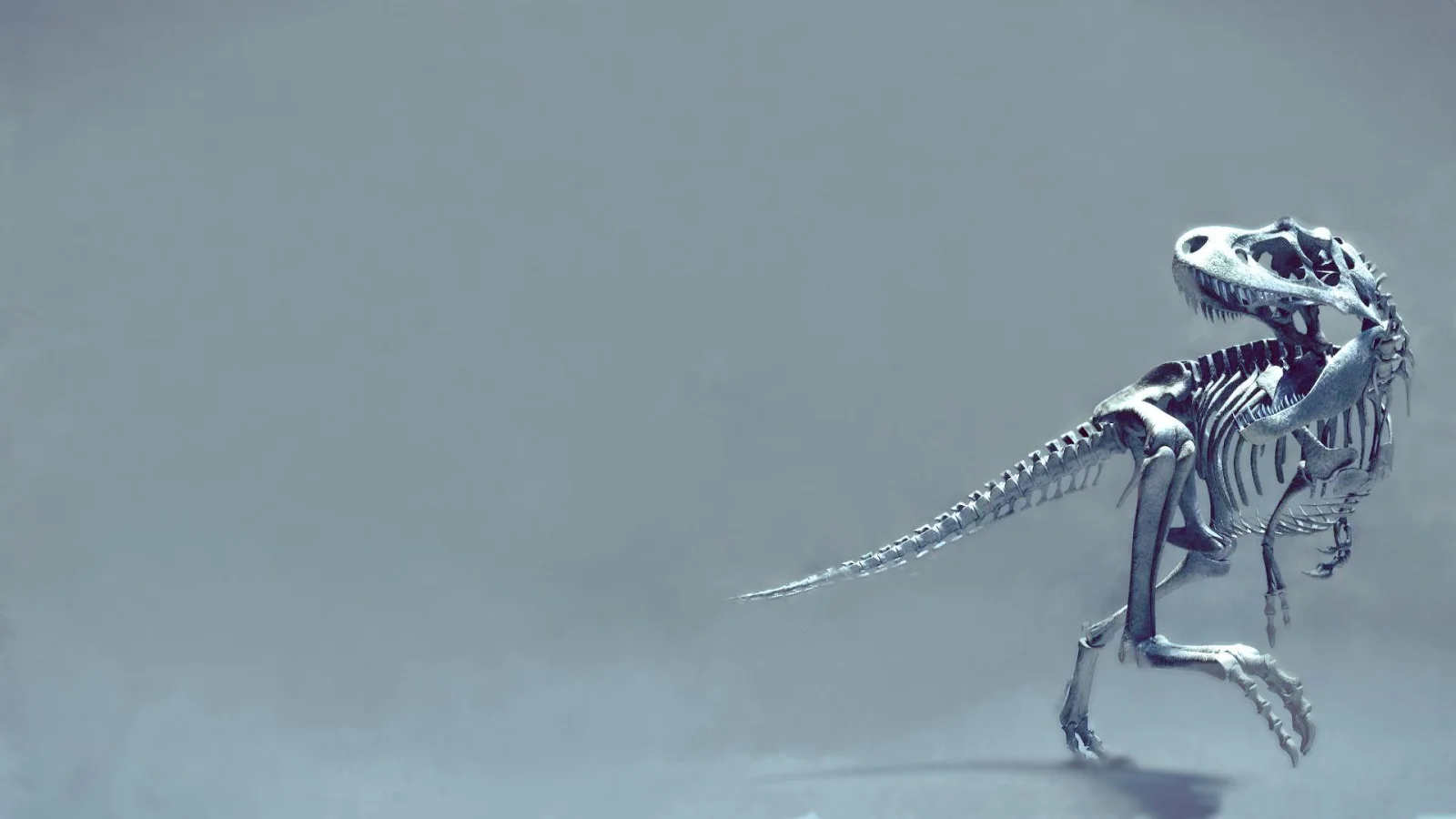 Skelett Dinosaurier