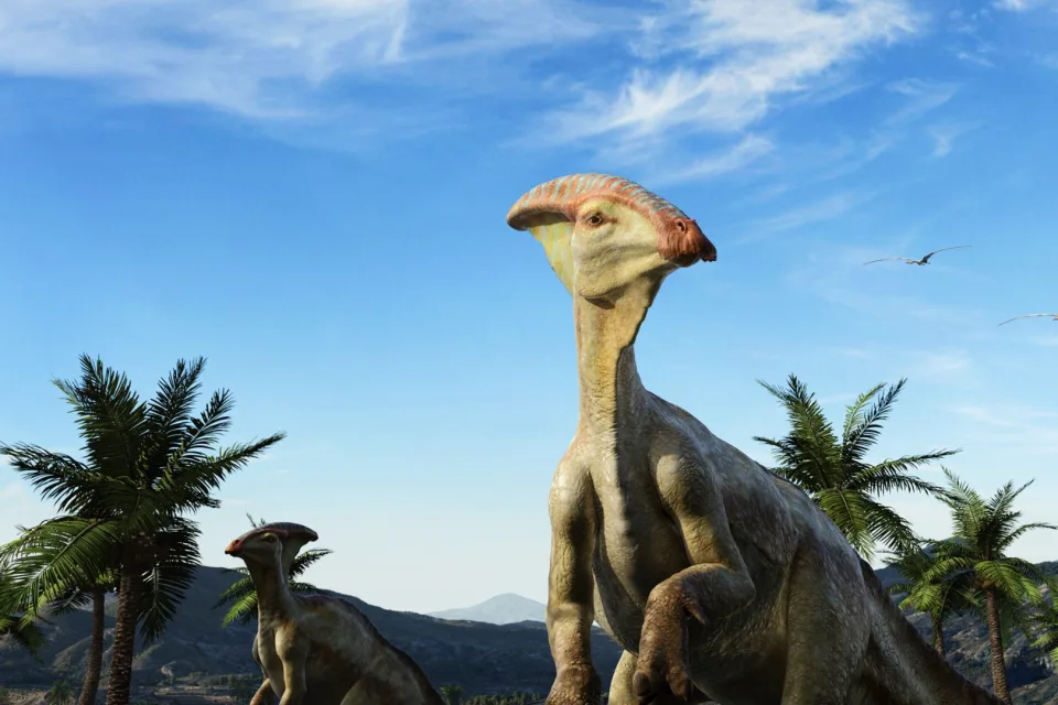 Zwei Dinosaurier zusammen