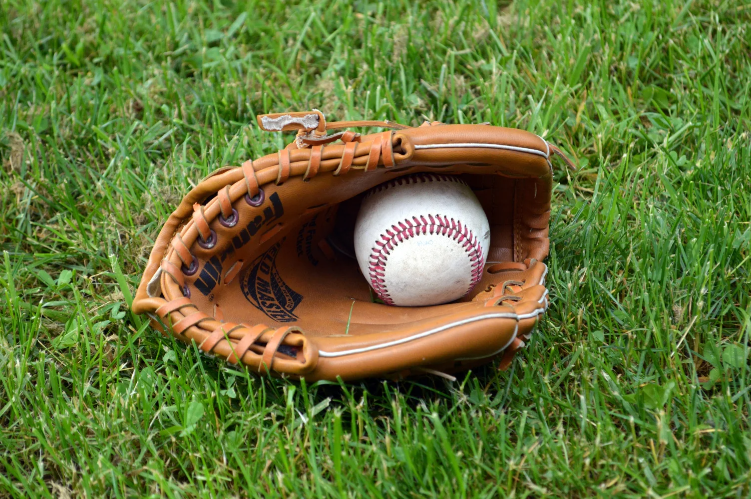 Baseball Ball auf grünem Gras
