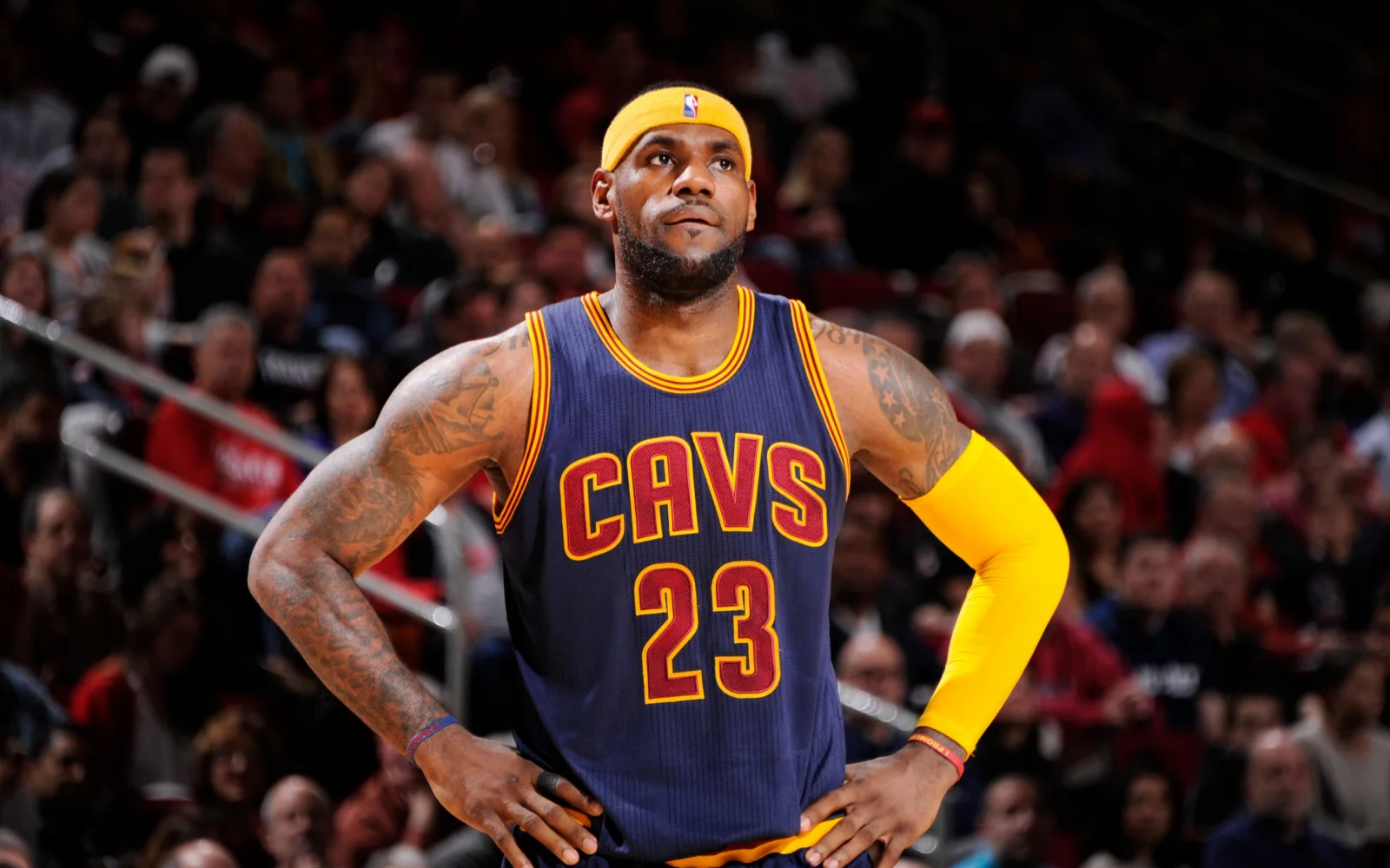 Basketballspieler LeBron James auf dem Feld
