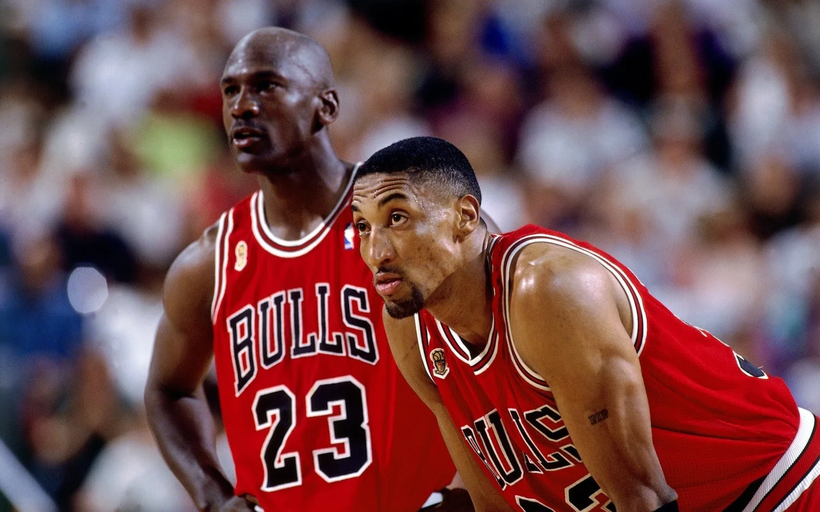 Basketballspieler Scottie Pippen, Michael Jordan, Team Chicago Bulls