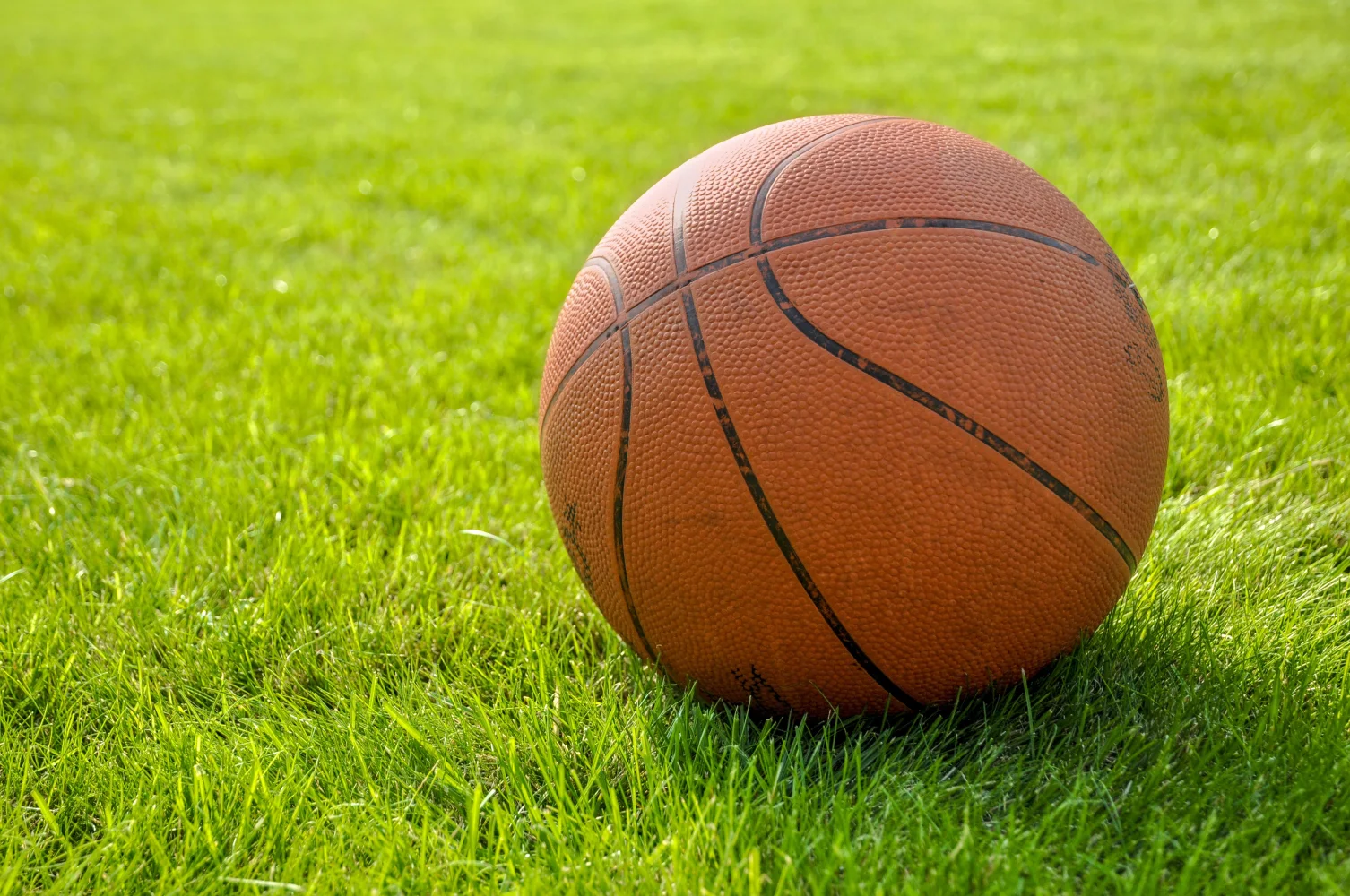 Brauner Basketball aus Leder auf grünem Gras