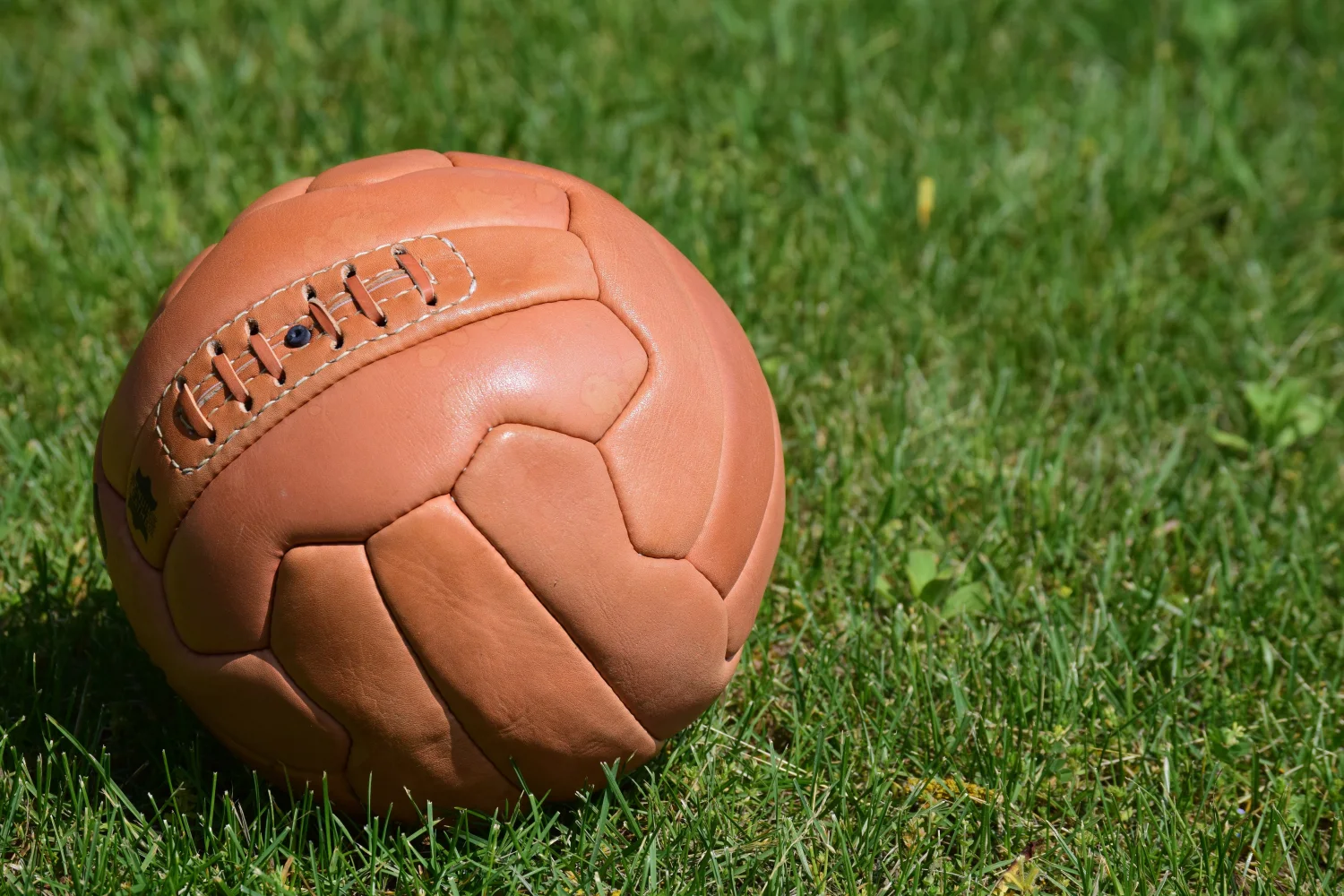Brauner Leder Ball auf grünem Gras