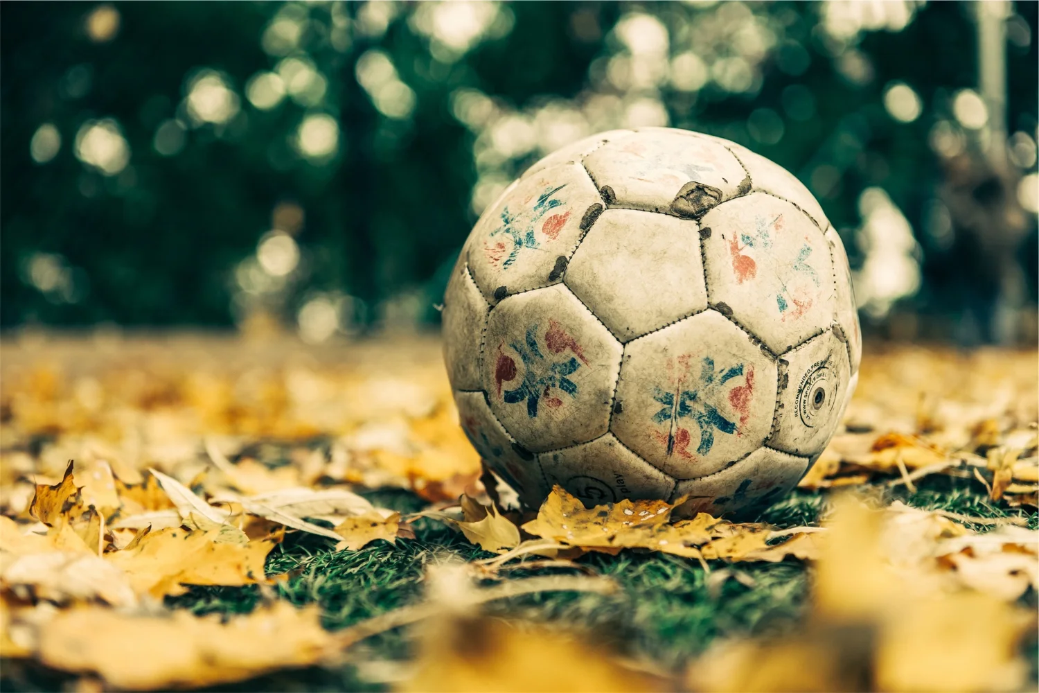 Alter Fußball auf Laub