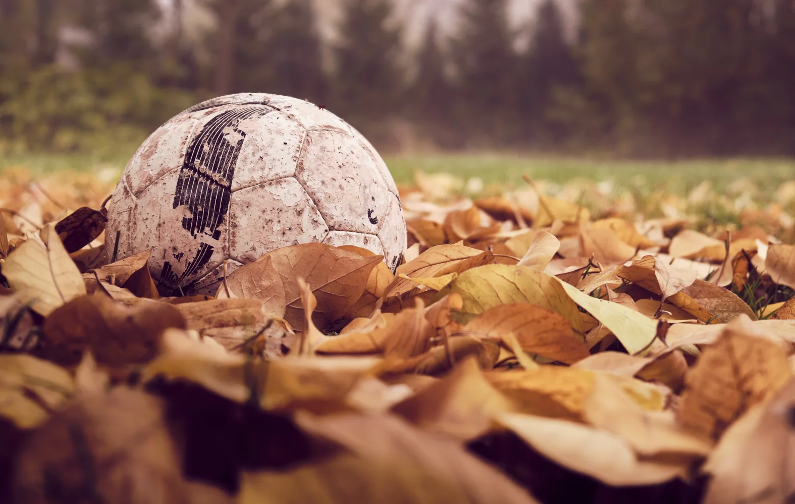 Alter Fußball in trockener Laub
