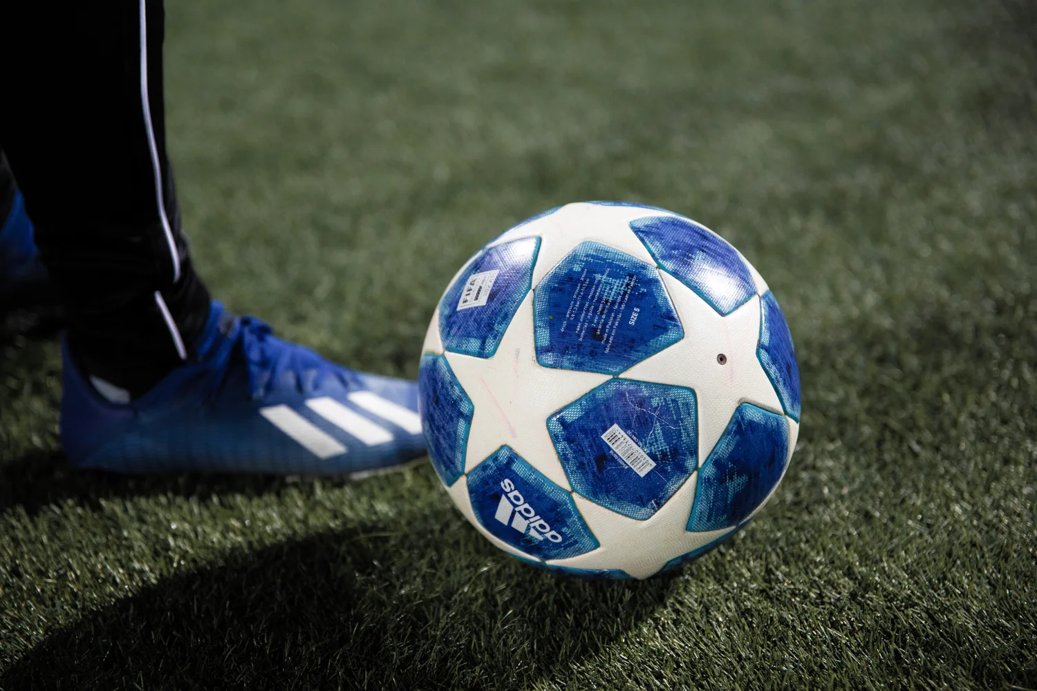 Blauer Fußball auf grünem Gras Wiese