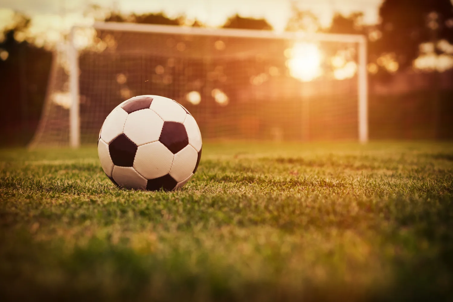 Fußball liegt auf dem Feld bei Tors