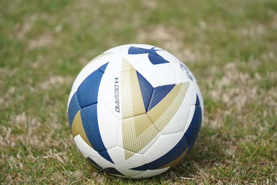 Großer Fußball auf dem Feld
