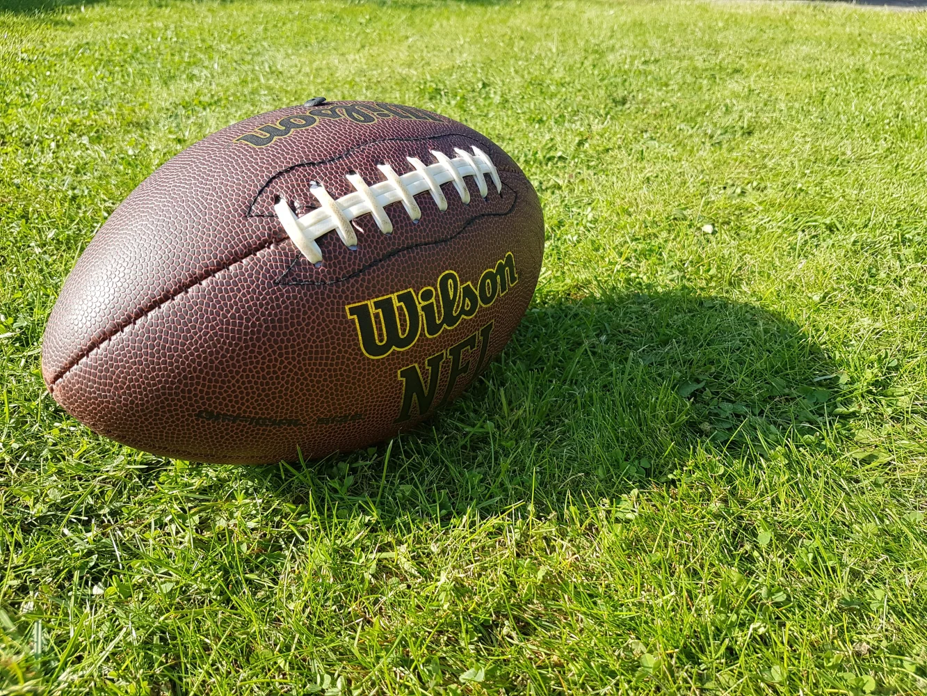 Lederfootball auf grünem Rasen