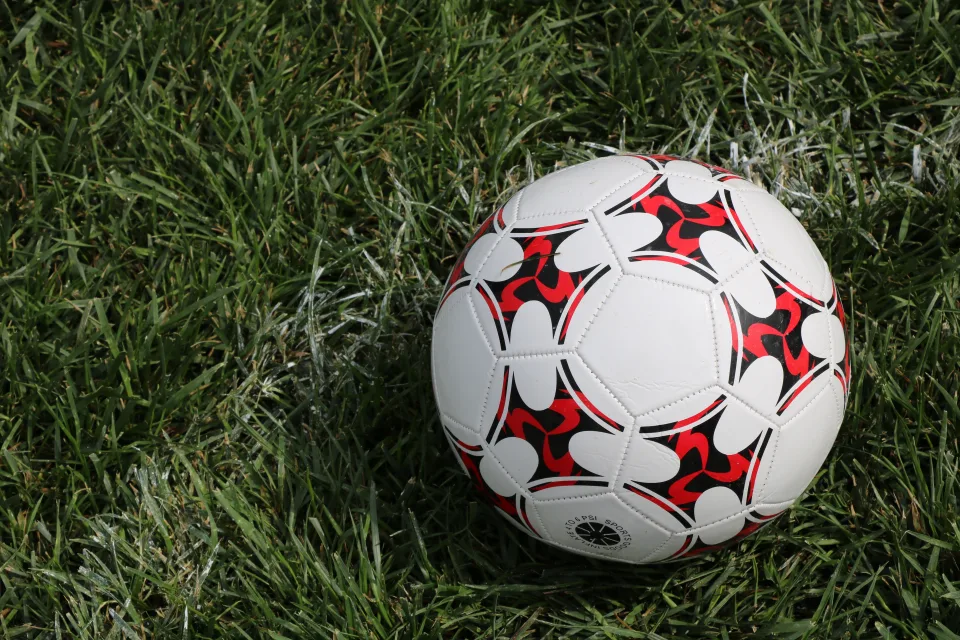 Lederfußball auf grünem Gras