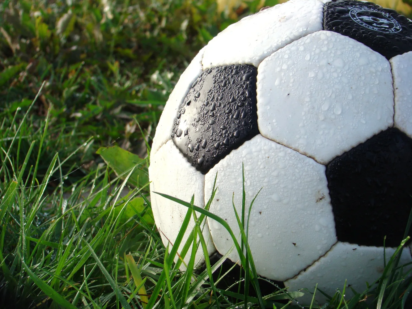 Nasser Fußball liegt auf grünem Gras