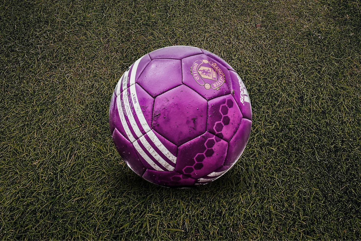 Violetter Fußball im Gras