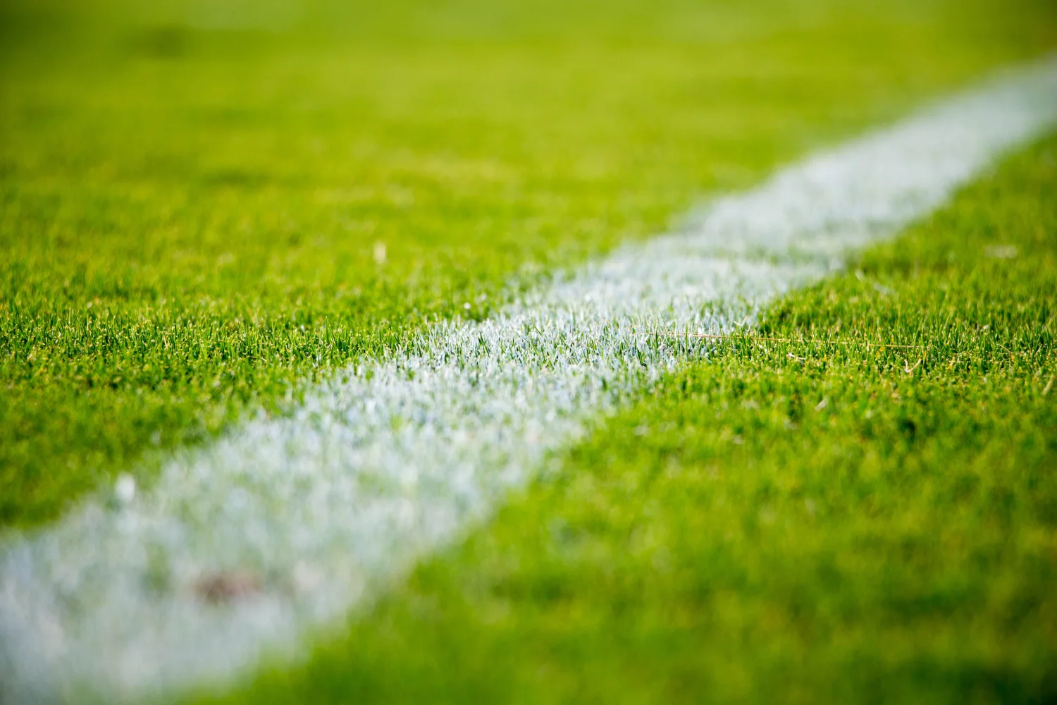Weiße auf dem Fußballplatz