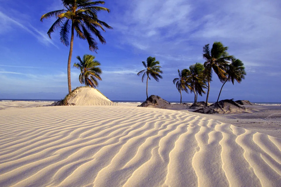 Strand und Palmen in Brasilien