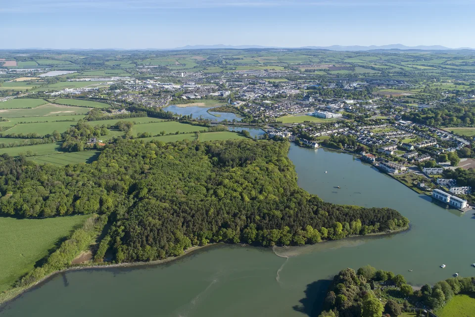 Blick auf Stadt und Fluss bei Wald mit Höhe, Island