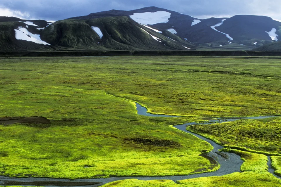 Landschaft und Sehenswürdigkeiten – Grüne in Island