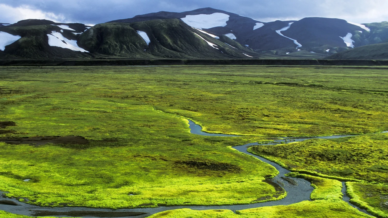 Landschaft und Sehenswürdigkeiten – Grüne in Island