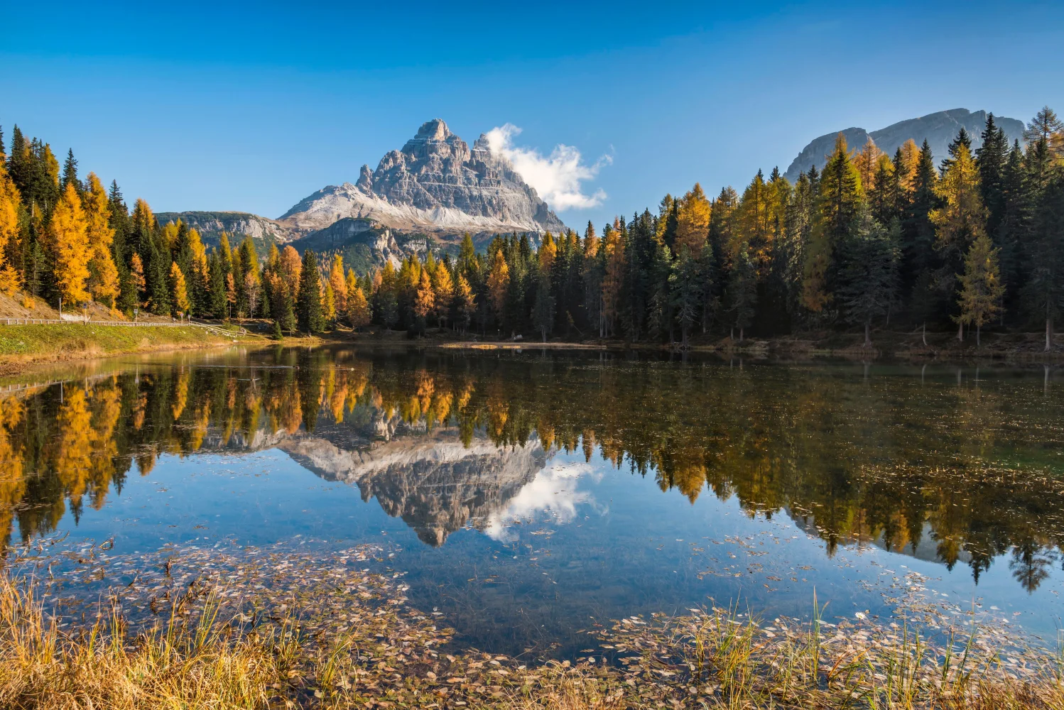 Berg und Wald spiegeln sich im See, Italien