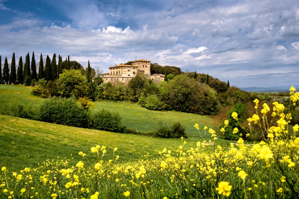 Grüne Hügel mit gelben Blumen, Toskana. Italien