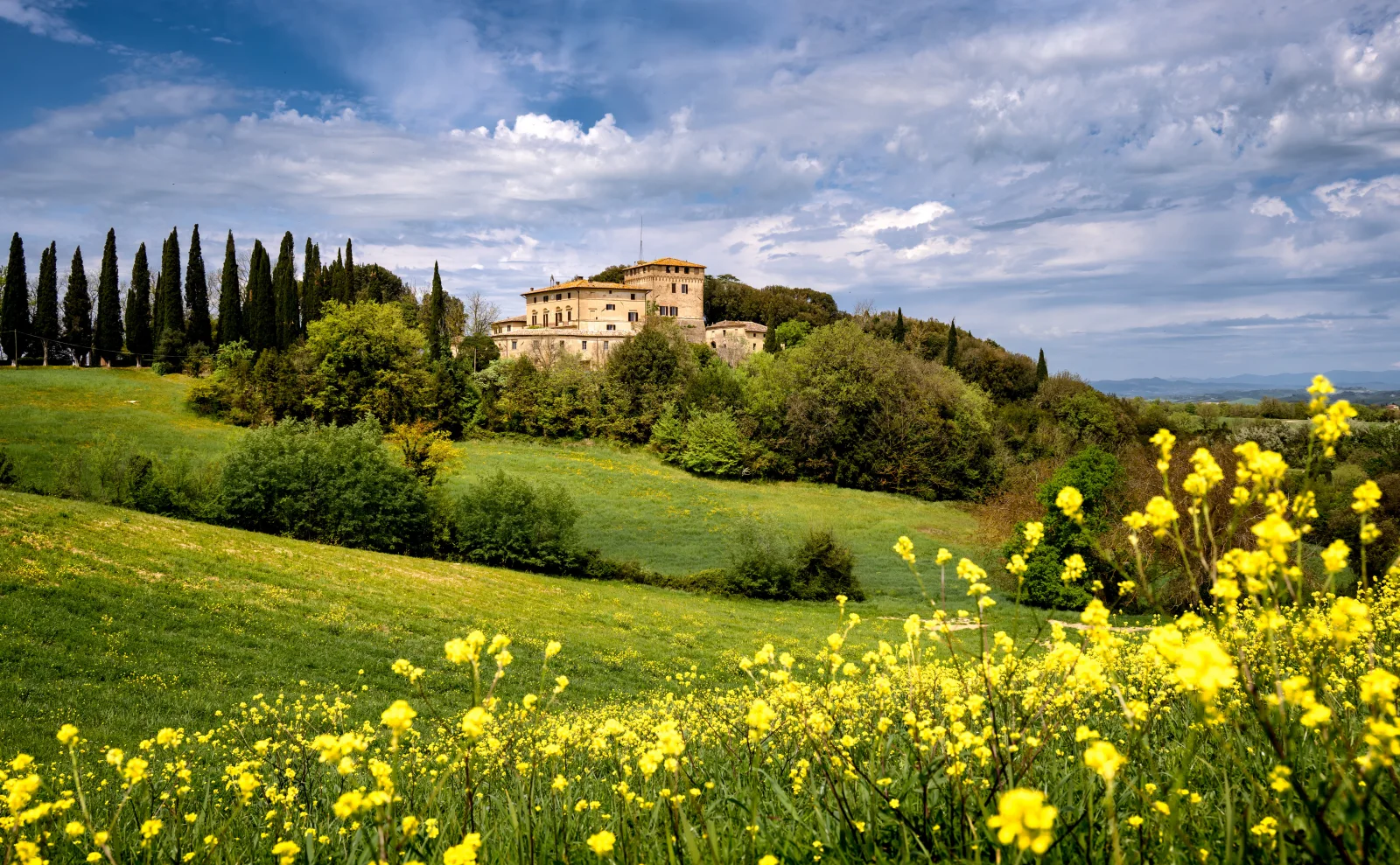 Grüne Hügel mit gelben Blumen, Toskana. Italien