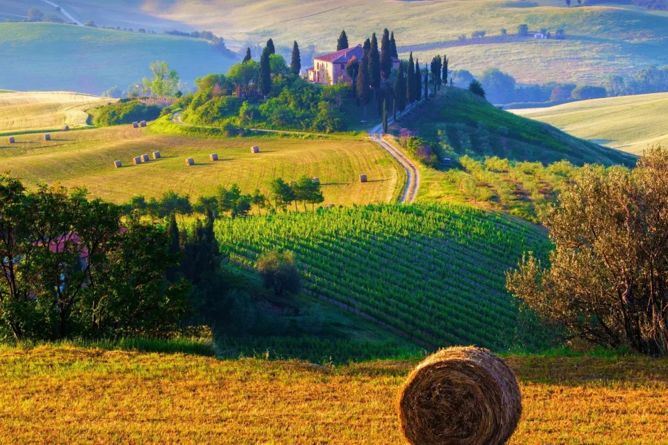 Landschaft und Sehenswürdigkeiten – Wiese in Italien