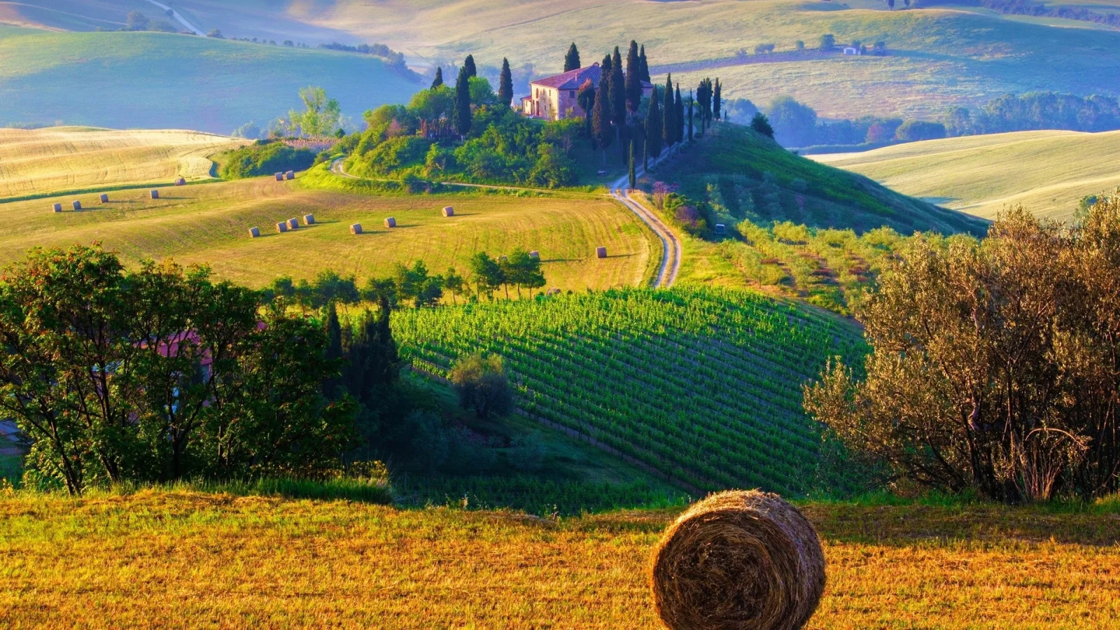 Landschaft und Sehenswürdigkeiten – Wiese in Italien
