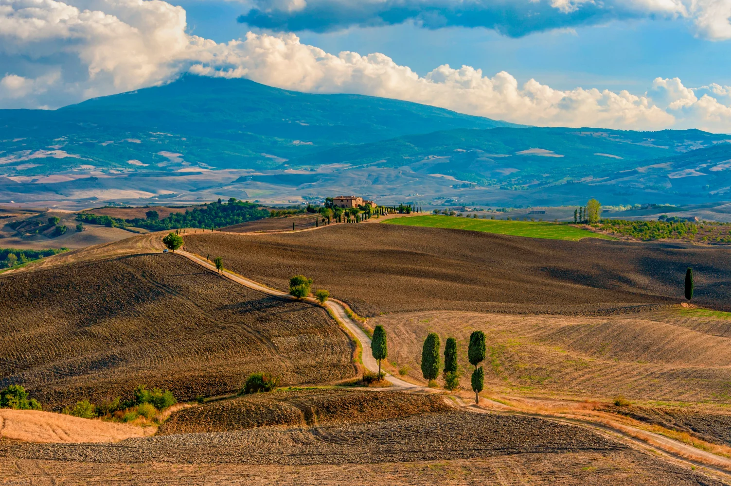 Schöner Blick auf Wiese, Italien