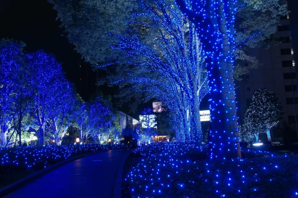 Baum im Park in Tokio