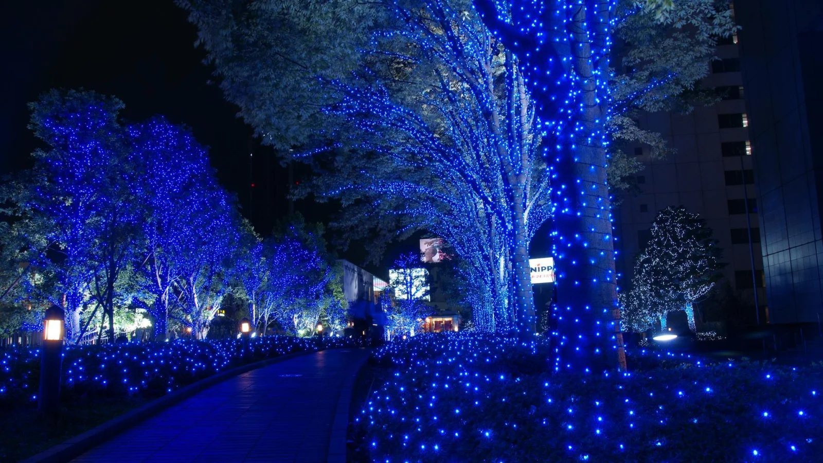 Baum im Park in Tokio