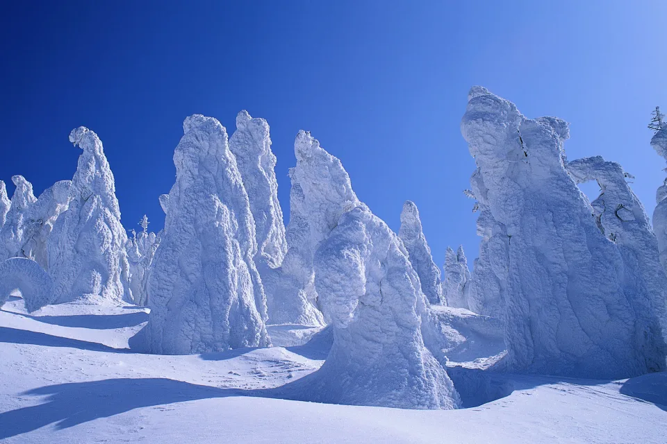 Baum schneebedeckte
