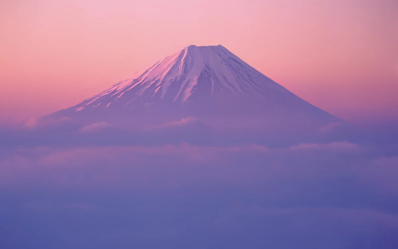 Berg Fuji in rosa