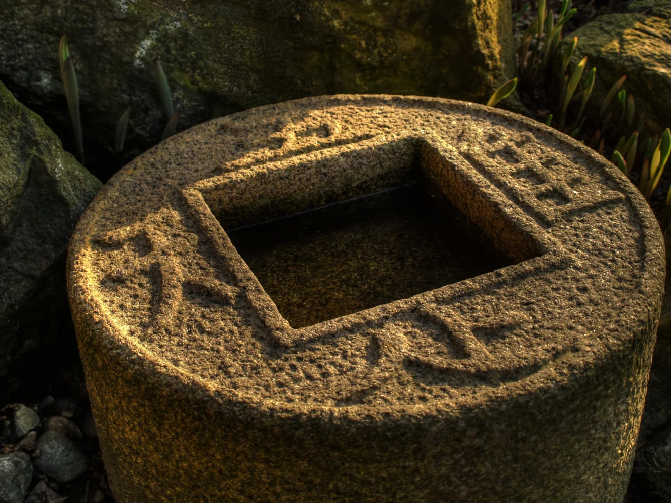Gewässer in Japanischem Garten
