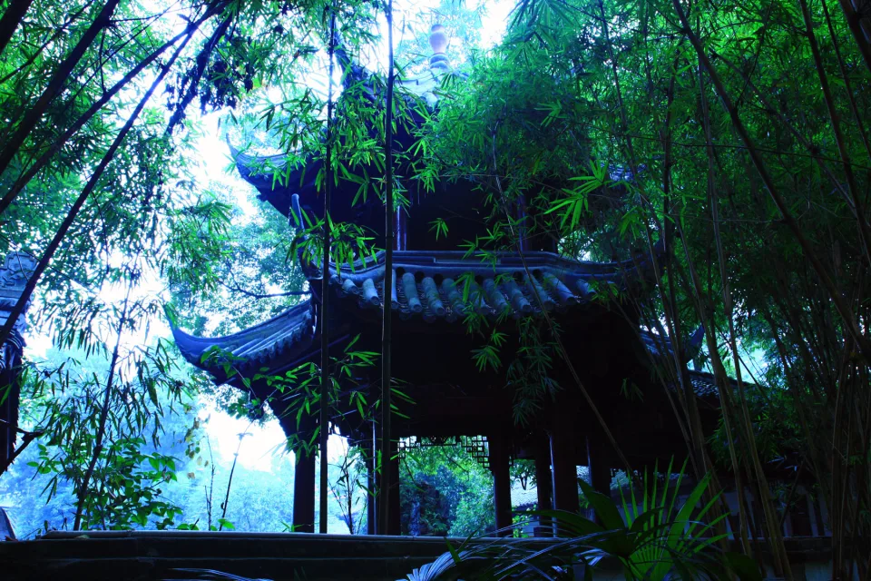 In Japanischem Garten