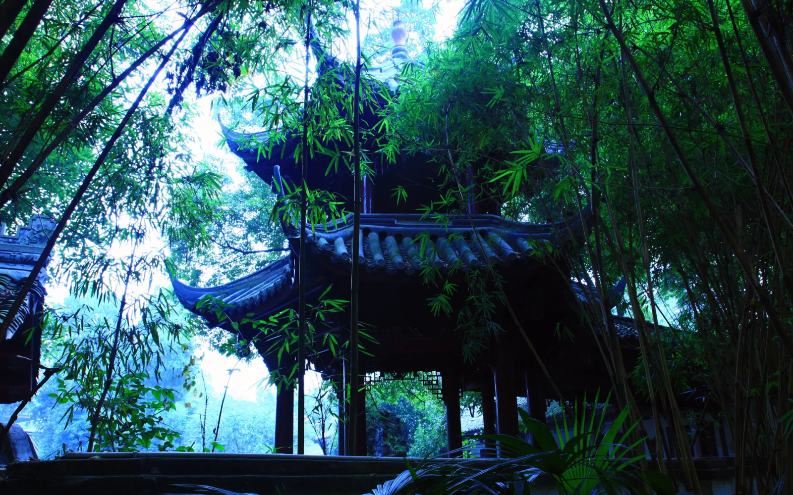 In Japanischem Garten