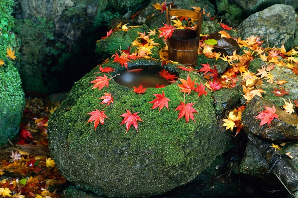 Landschaft und Sehenswürdigkeiten in Japan