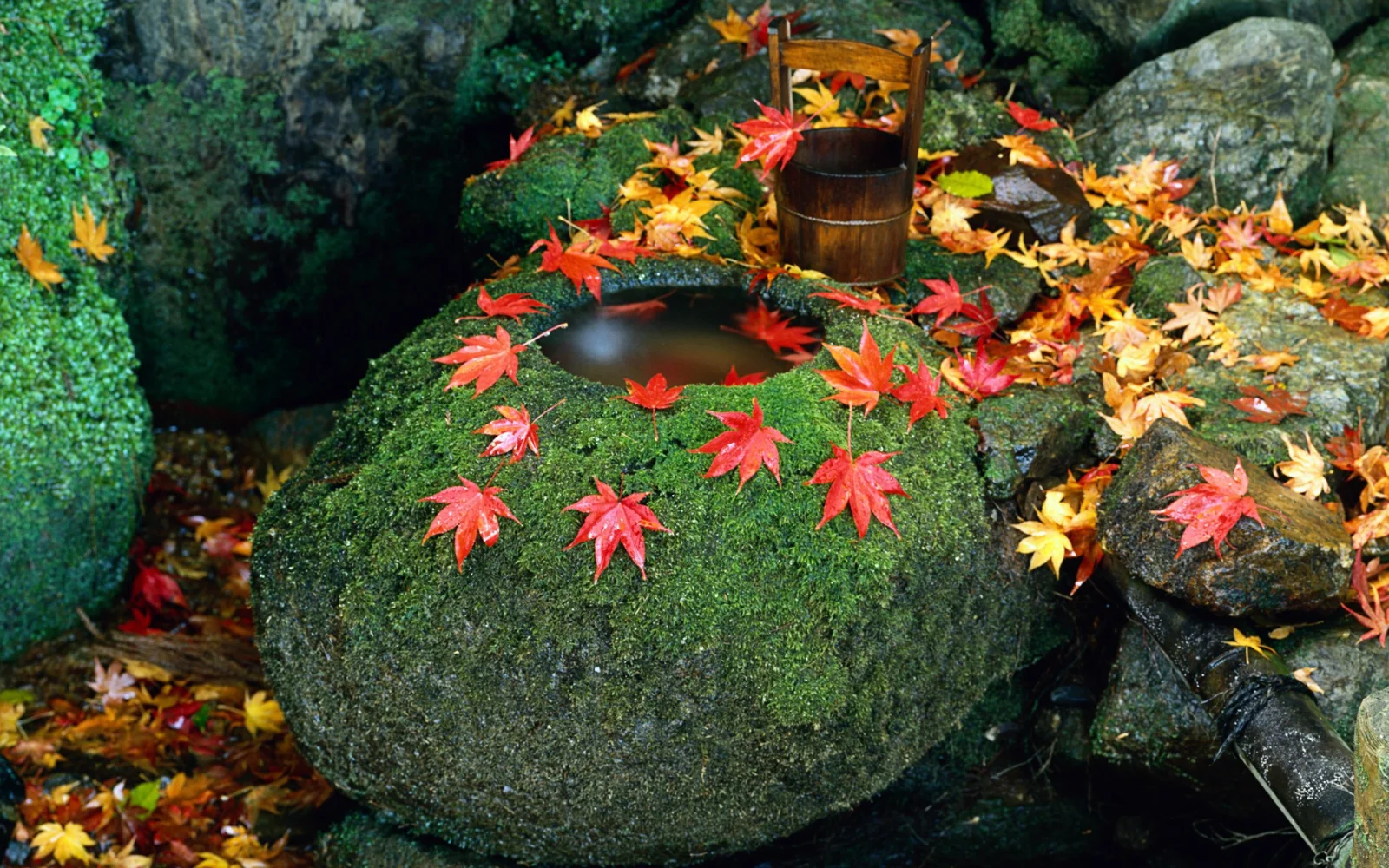 Landschaft und Sehenswürdigkeiten in Japan
