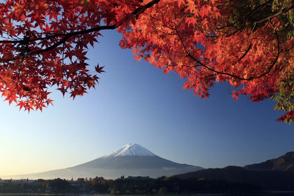 Rote Ahorn Blätter vor einer Bergkulisse Fuji, Japan