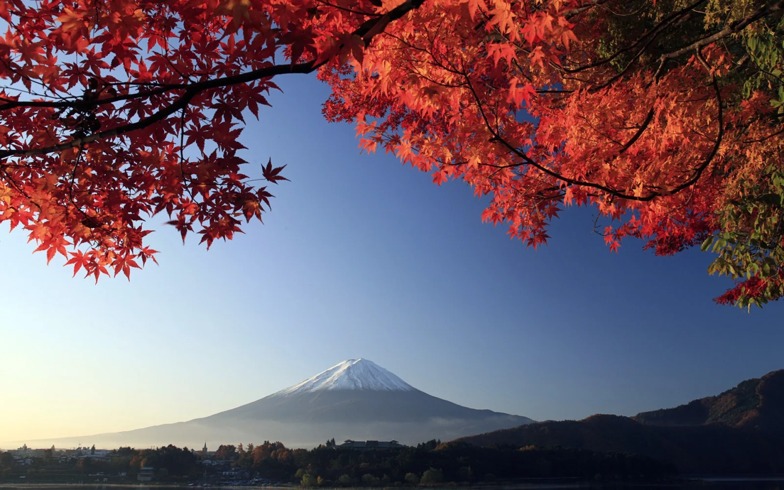 Rote Ahorn Blätter vor einer Bergkulisse Fuji, Japan