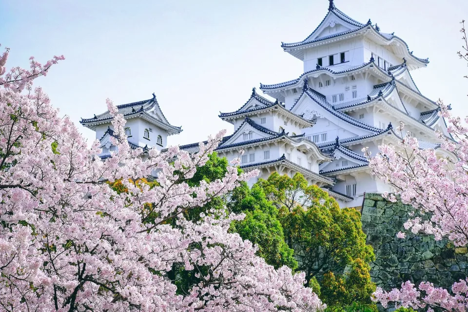 Schloss Himeji in blühenden, Japan