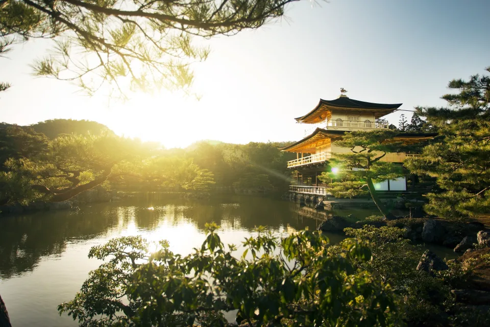 Teich bei Sonnenaufgang, Japan