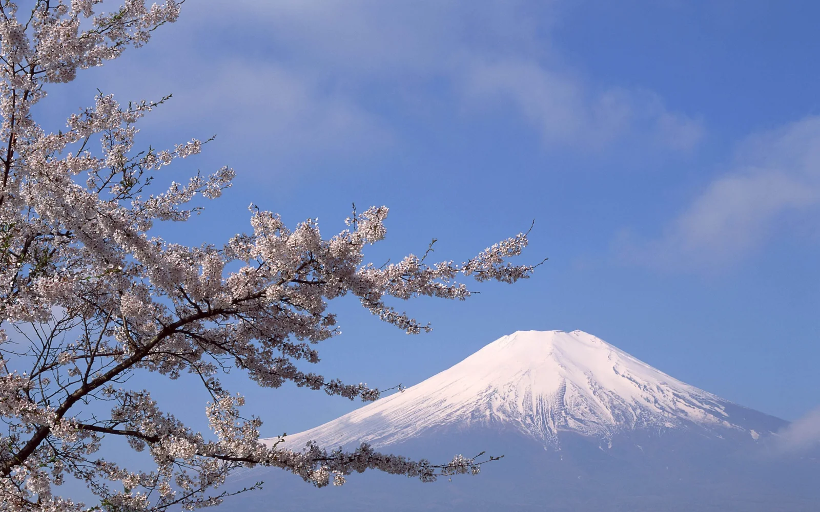 Weiße Gipfel Berge Fuji